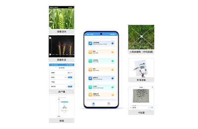 淄博市小麦表型检测仪IN-XM04