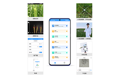 淄博市小麦表型测量仪IN-XM05